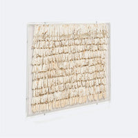 Tarni Wall Art