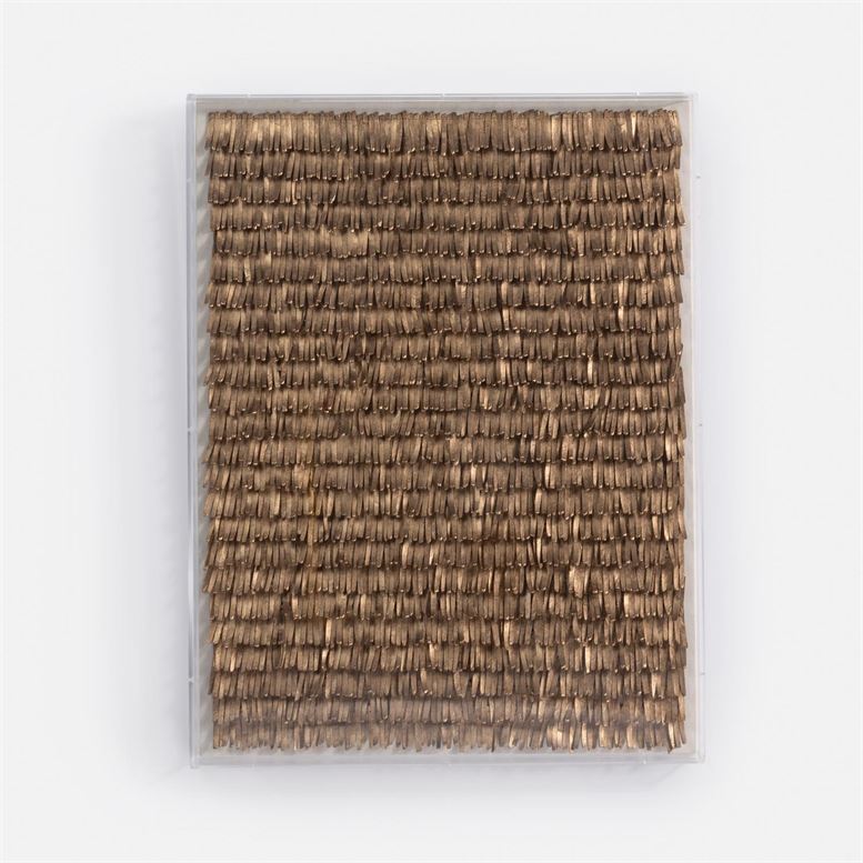 Tarni Wall Art